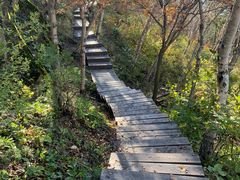 -白草畔自然风景区