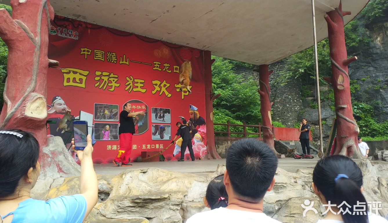 五龙口的猴子太可爱了