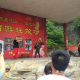 五龙口的猴子太可爱了