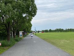 -嘉北郊野公园
