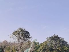 -中国西峡恐龙遗迹园