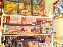 -Rabbit Cafe私房西餐甜点咖啡(栖霞路店)