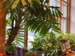 -鑫日千里马朝鲜族小馆(总店)