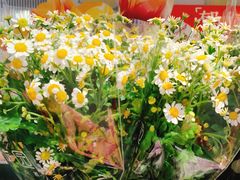 -盒马鲜生(首义店)