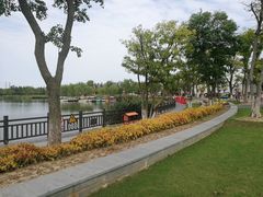 -上海长兴岛郊野公园