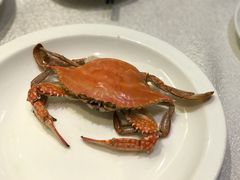 -渔公码头·九龙湾国际饭店
