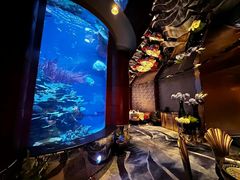 -迪拜帆船酒店海底餐厅