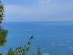 -广东惠东海龟国家级自然保护区