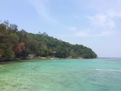-东姑阿都拉曼海洋公园