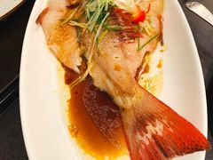 清蒸东星斑-广州文华东方酒店·江-由辉师傅主理