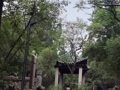 -云龙山