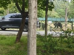 -秦皇岛野生动物园