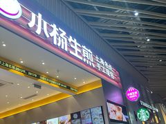 -小杨生煎(深圳岗厦北店)