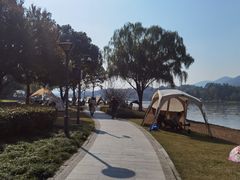 -长广溪湿地公园