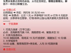 -日照海滨国家森林公园