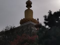 -兴隆文化园景区