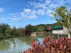 -林丰温泉度假山庄