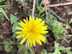 -南京金牛湖风景区