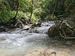 -江西阳明山国家森林公园