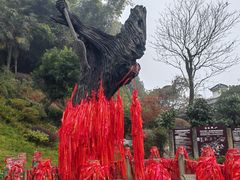 -都江堰景区