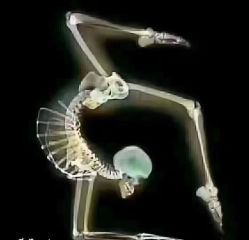 点击看大图 -U+YOGA优伽瑜伽·普拉提