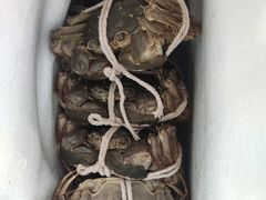 阳澄湖大闸蟹-喜洋洋蟹庄(阳澄湖店)