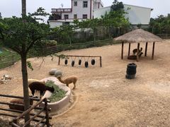 -泉州海丝野生动物世界