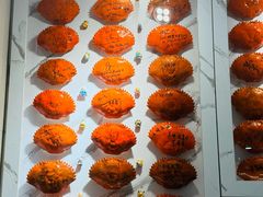 -龙海鲜螃蟹王(宏茂桥店)