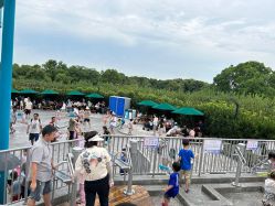 点击看大图 -季高兔窝窝亲子园(上海薰衣草公园店)