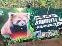 -普洱太阳河森林公园