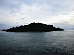 -维乐口腔医院(星海湾分院)