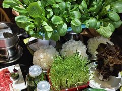 -番食园鲜食火锅(高新店)