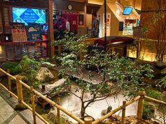 -大江户·温泉洗浴(浑南店)