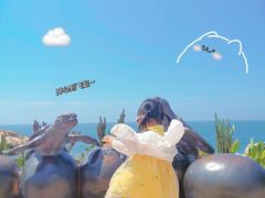 -广东惠东海龟国家级自然保护区