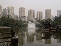 -龙头寺公园