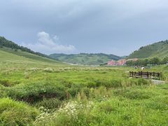 -关山草原