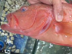 -三亚相缘海鲜·烧烤·糟粕醋(三亚湾店)
