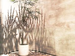 -二酉书店TOYOU BOOKS