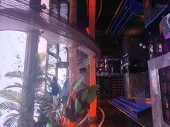 -温莎KTV(珠江路店)