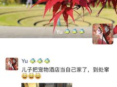 -宠物之家Pets Home 宠物寄养酒店