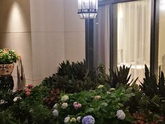 -沙龙酒家