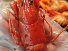 -沪小胖·小龙虾·蓝龙王(八佰伴店)