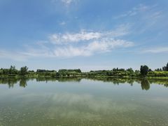 -东郊湿地公园