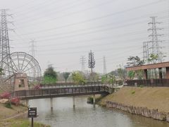 -王借岗森林公园