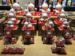 -猫咪博物馆(顶澳仔猫街店)