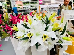 -宜家家居(高新商场店)