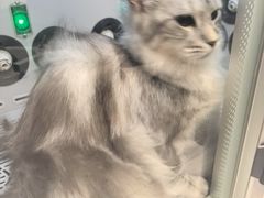 -FAELING PETS美天灵宠物(富力广场店)