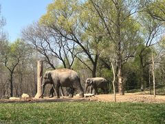 -北京野生动物园