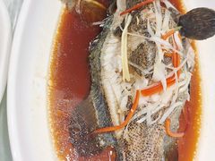 -双井轩(双井店)