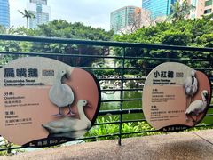 -九龙公园